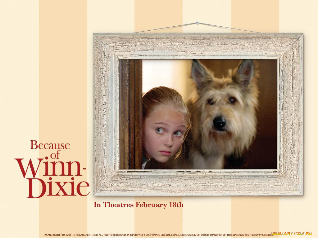 , , because, of, winn, dixie